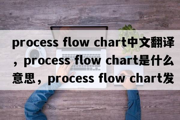 process flow chart中文翻譯，process flow chart是什么意思，process flow chart發(fā)音、用法及例句