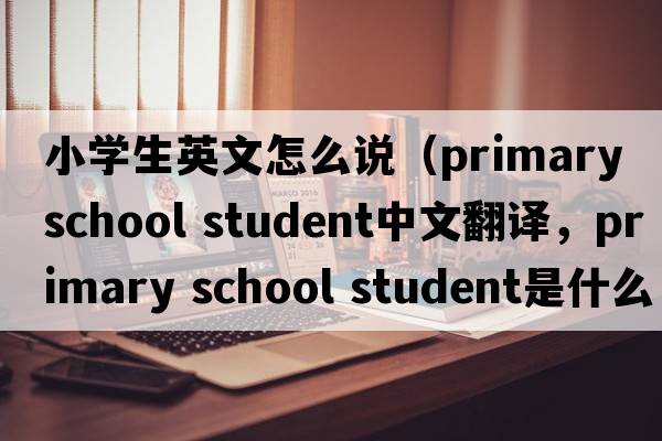 小學(xué)生英文怎么說(shuō)（primary school student中文翻譯，primary school student是什么意思，primary school student發(fā)音、用法及例句）