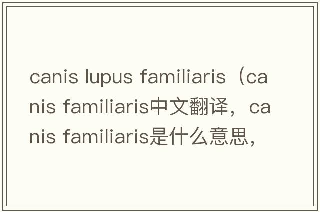 canis lupus familiaris（canis familiaris中文翻譯，canis familiaris是什么意思，canis familiaris發(fā)音、用法及例句）