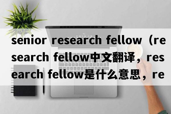 senior research fellow（research fellow中文翻譯，research fellow是什么意思，research fellow發(fā)音、用法及例句）