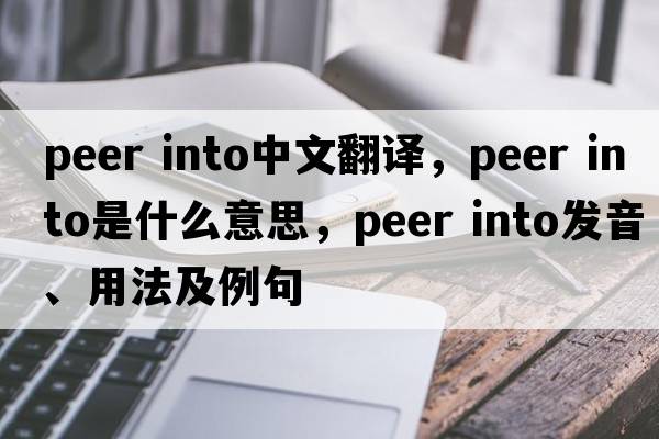 peer into中文翻譯，peer into是什么意思，peer into發(fā)音、用法及例句