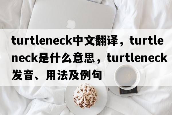 turtleneck中文翻譯，turtleneck是什么意思，turtleneck發(fā)音、用法及例句