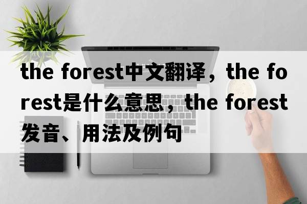 the forest中文翻譯，the forest是什么意思，the forest發(fā)音、用法及例句