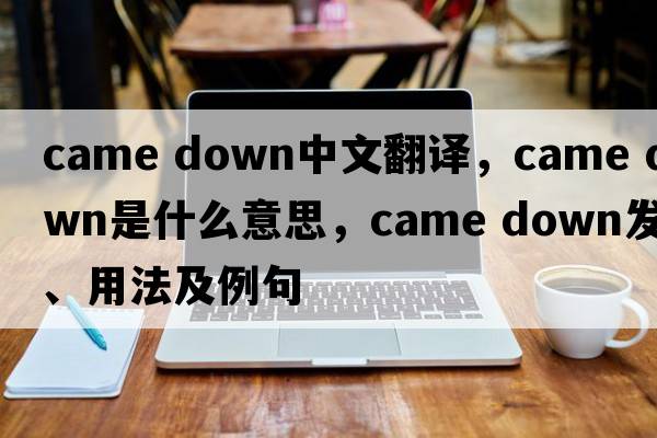 came down中文翻譯，came down是什么意思，came down發(fā)音、用法及例句