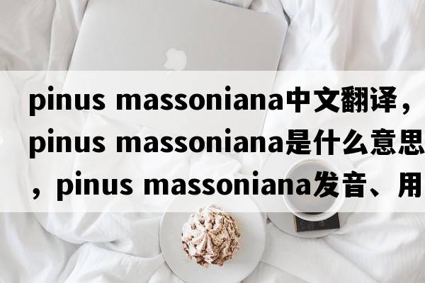pinus massoniana中文翻譯，pinus massoniana是什么意思，pinus massoniana發(fā)音、用法及例句