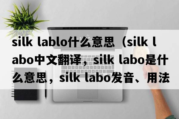 silk lablo什么意思（silk labo中文翻譯，silk labo是什么意思，silk labo發(fā)音、用法及例句）