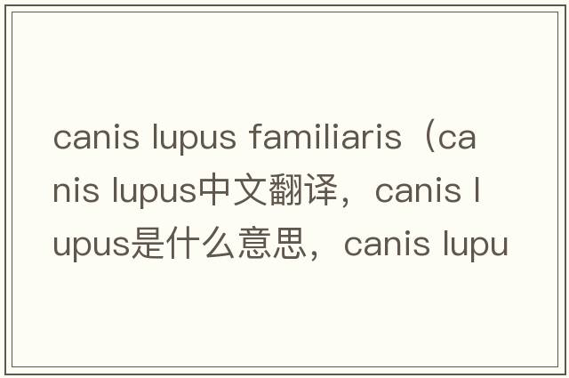 canis lupus familiaris（canis lupus中文翻譯，canis lupus是什么意思，canis lupus發(fā)音、用法及例句）