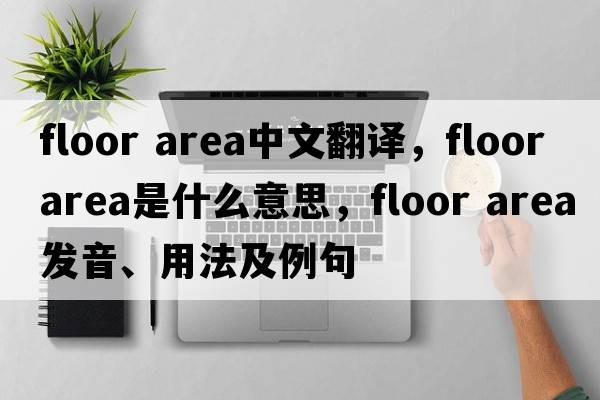 floor area中文翻譯，floor area是什么意思，floor area發(fā)音、用法及例句