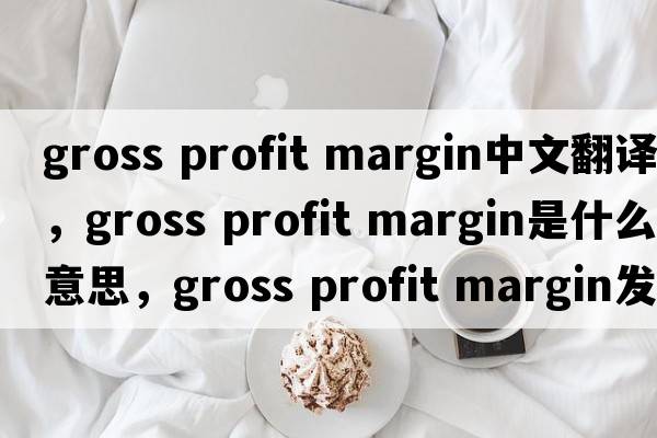gross profit margin中文翻譯，gross profit margin是什么意思，gross profit margin發(fā)音、用法及例句