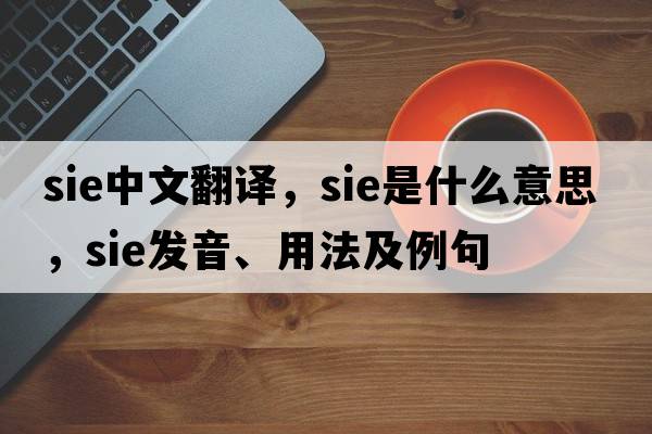 sie中文翻譯，sie是什么意思，sie發(fā)音、用法及例句