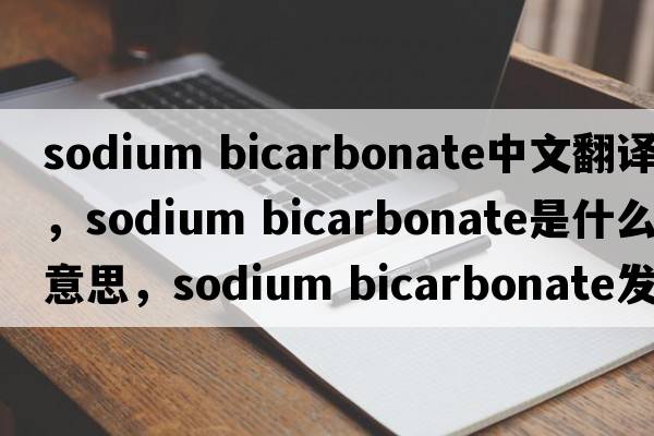 sodium bicarbonate中文翻譯，sodium bicarbonate是什么意思，sodium bicarbonate發(fā)音、用法及例句
