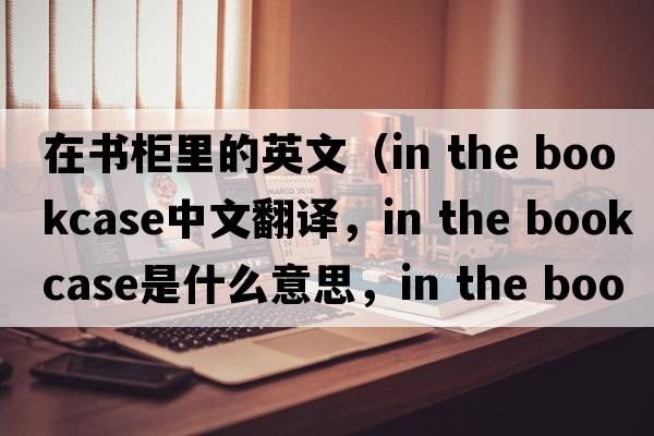 在書(shū)柜里的英文（in the bookcase中文翻譯，in the bookcase是什么意思，in the bookcase發(fā)音、用法及例句）