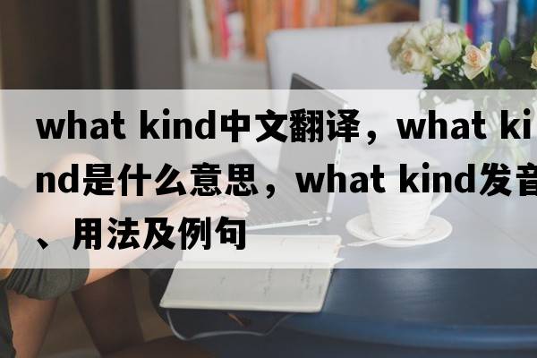 what kind中文翻譯，what kind是什么意思，what kind發(fā)音、用法及例句