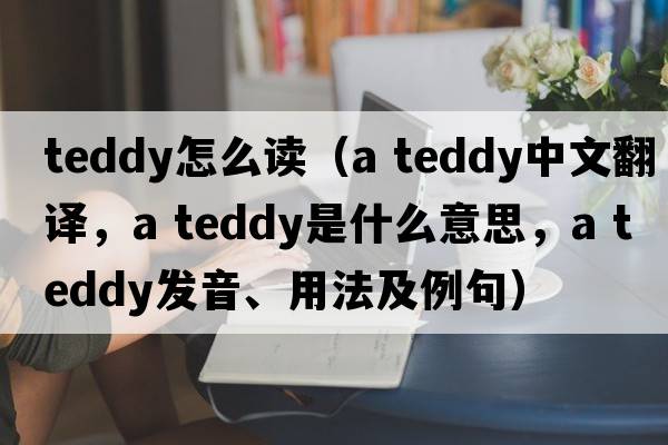teddy怎么讀（a teddy中文翻譯，a teddy是什么意思，a teddy發(fā)音、用法及例句）