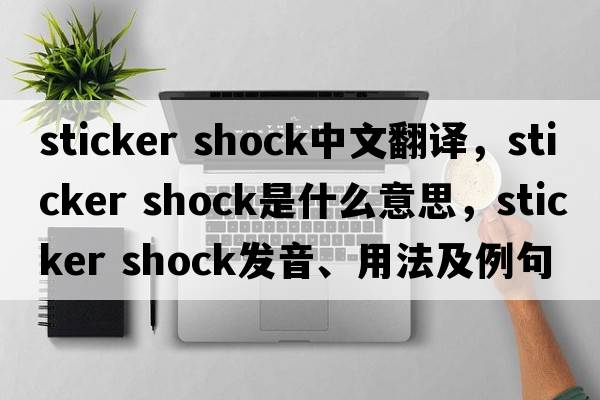 sticker shock中文翻譯，sticker shock是什么意思，sticker shock發(fā)音、用法及例句