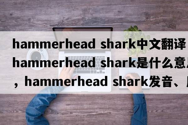 hammerhead shark中文翻譯，hammerhead shark是什么意思，hammerhead shark發(fā)音、用法及例句