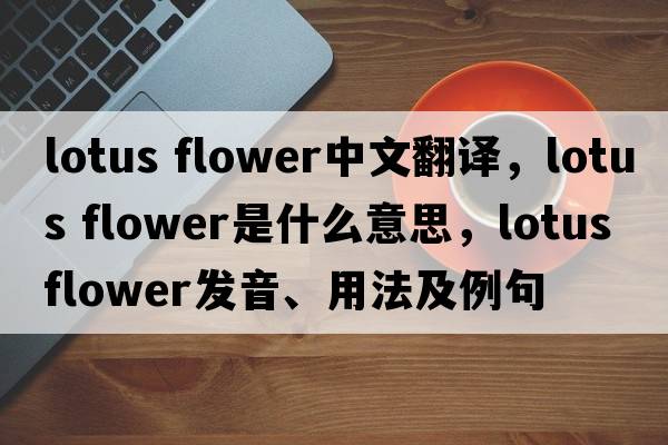 lotus flower中文翻譯，lotus flower是什么意思，lotus flower發(fā)音、用法及例句