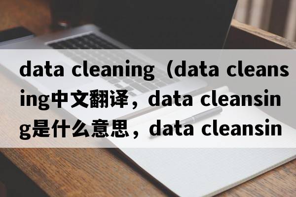 data cleaning（data cleansing中文翻譯，data cleansing是什么意思，data cleansing發(fā)音、用法及例句）