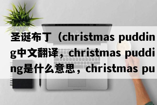 圣誕布?。╟hristmas pudding中文翻譯，christmas pudding是什么意思，christmas pudding發(fā)音、用法及例句）