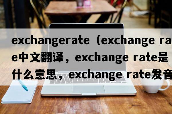 exchangerate（exchange rate中文翻譯，exchange rate是什么意思，exchange rate發(fā)音、用法及例句）