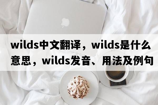 wilds中文翻譯，wilds是什么意思，wilds發(fā)音、用法及例句
