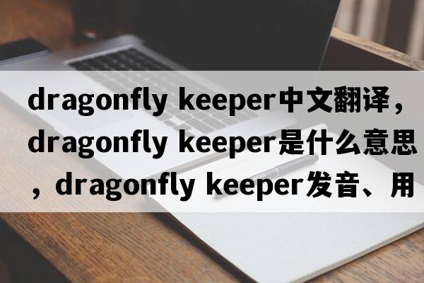 dragonfly keeper中文翻譯，dragonfly keeper是什么意思，dragonfly keeper發(fā)音、用法及例句