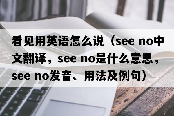看見(jiàn)用英語(yǔ)怎么說(shuō)（see no中文翻譯，see no是什么意思，see no發(fā)音、用法及例句）