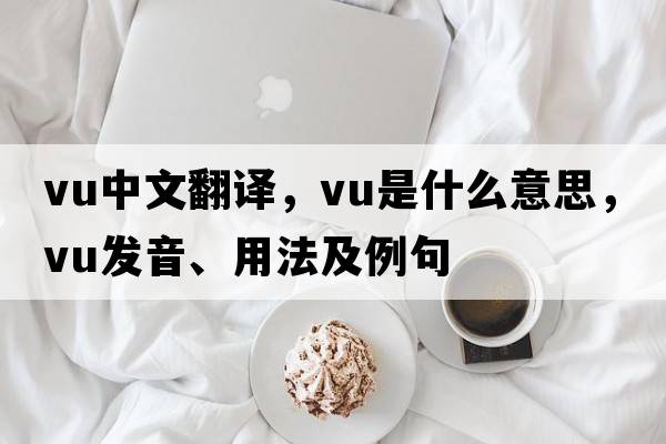 vu中文翻譯，vu是什么意思，vu發(fā)音、用法及例句