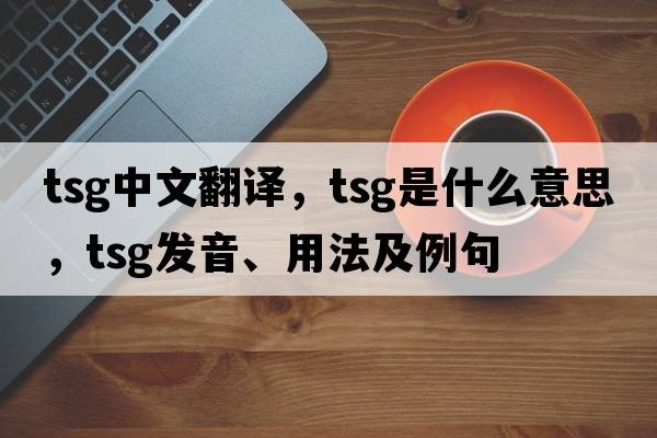 tsg中文翻譯，tsg是什么意思，tsg發(fā)音、用法及例句