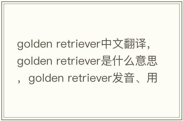 golden retriever中文翻譯，golden retriever是什么意思，golden retriever發(fā)音、用法及例句