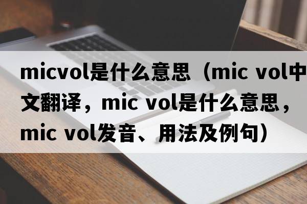 micvol是什么意思（mic vol中文翻譯，mic vol是什么意思，mic vol發(fā)音、用法及例句）