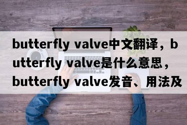 butterfly valve中文翻譯，butterfly valve是什么意思，butterfly valve發(fā)音、用法及例句