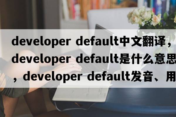 developer default中文翻譯，developer default是什么意思，developer default發(fā)音、用法及例句