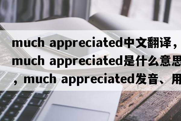 much appreciated中文翻譯，much appreciated是什么意思，much appreciated發(fā)音、用法及例句