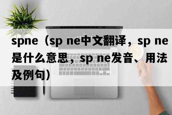 spne（sp ne中文翻譯，sp ne是什么意思，sp ne發(fā)音、用法及例句）