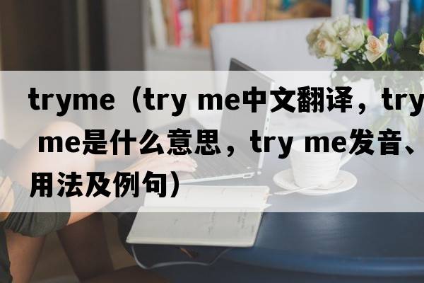 tryme（try me中文翻譯，try me是什么意思，try me發(fā)音、用法及例句）