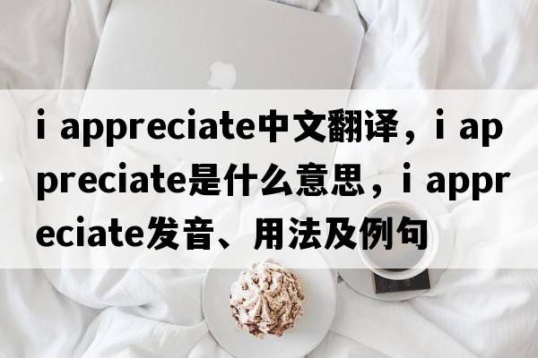 i appreciate中文翻譯，i appreciate是什么意思，i appreciate發(fā)音、用法及例句