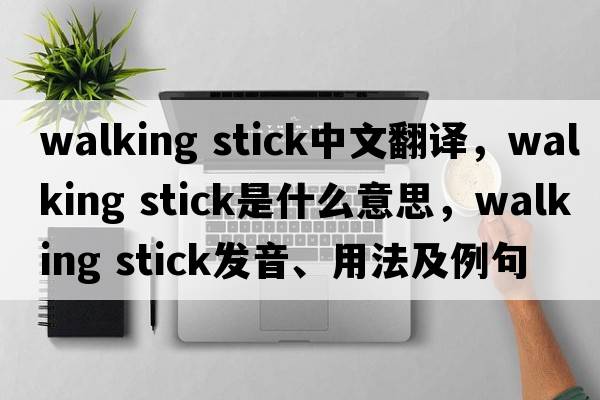 walking stick中文翻譯，walking stick是什么意思，walking stick發(fā)音、用法及例句