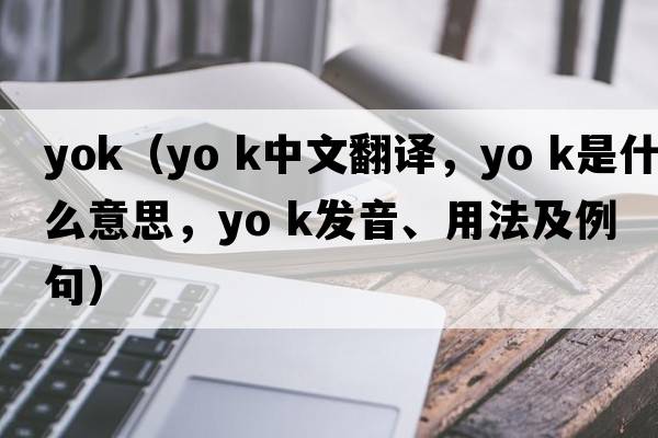 yok（yo k中文翻譯，yo k是什么意思，yo k發(fā)音、用法及例句）
