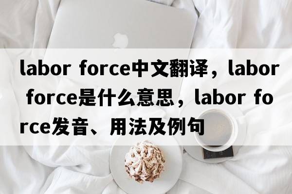 labor force中文翻譯，labor force是什么意思，labor force發(fā)音、用法及例句