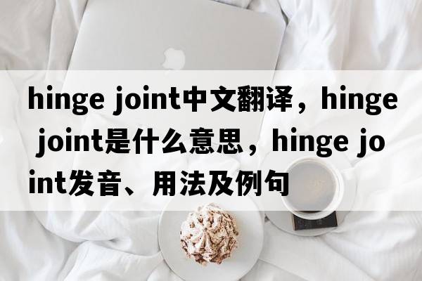hinge joint中文翻譯，hinge joint是什么意思，hinge joint發(fā)音、用法及例句