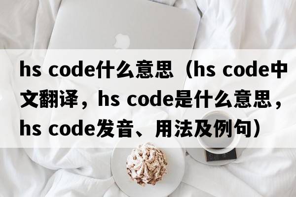 hs code什么意思（hs code中文翻譯，hs code是什么意思，hs code發(fā)音、用法及例句）