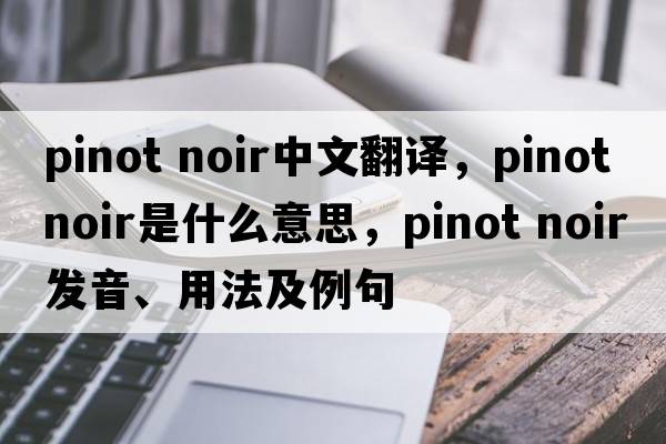 pinot noir中文翻譯，pinot noir是什么意思，pinot noir發(fā)音、用法及例句