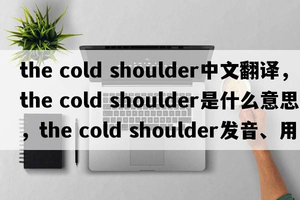 the cold shoulder中文翻譯，the cold shoulder是什么意思，the cold shoulder發(fā)音、用法及例句
