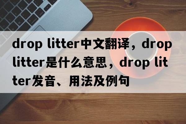 drop litter中文翻譯，drop litter是什么意思，drop litter發(fā)音、用法及例句