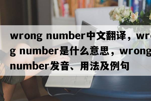 wrong number中文翻譯，wrong number是什么意思，wrong number發(fā)音、用法及例句