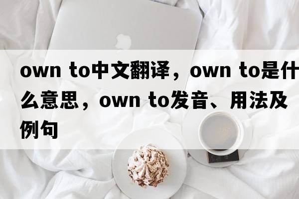 own to中文翻譯，own to是什么意思，own to發(fā)音、用法及例句