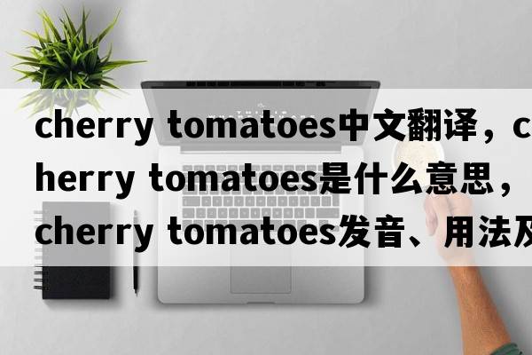 cherry tomatoes中文翻譯，cherry tomatoes是什么意思，cherry tomatoes發(fā)音、用法及例句