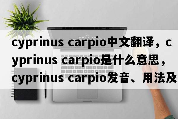 cyprinus carpio中文翻譯，cyprinus carpio是什么意思，cyprinus carpio發(fā)音、用法及例句