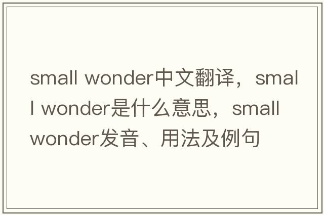 small wonder中文翻譯，small wonder是什么意思，small wonder發(fā)音、用法及例句